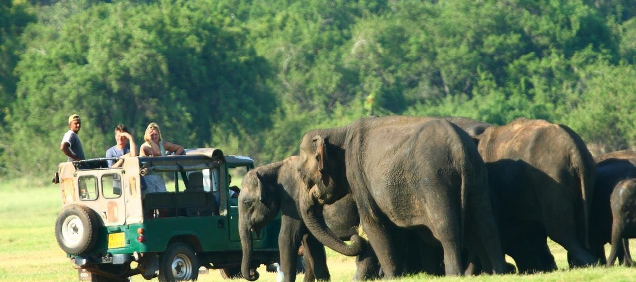 Sigiri Rangana Guesthouse Sigiriya Ngoại thất bức ảnh
